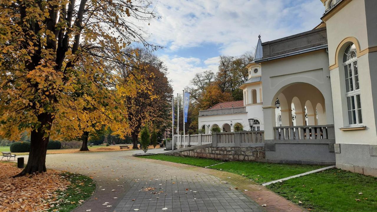 Apartman Mila, Banja Koviljača Exteriér fotografie