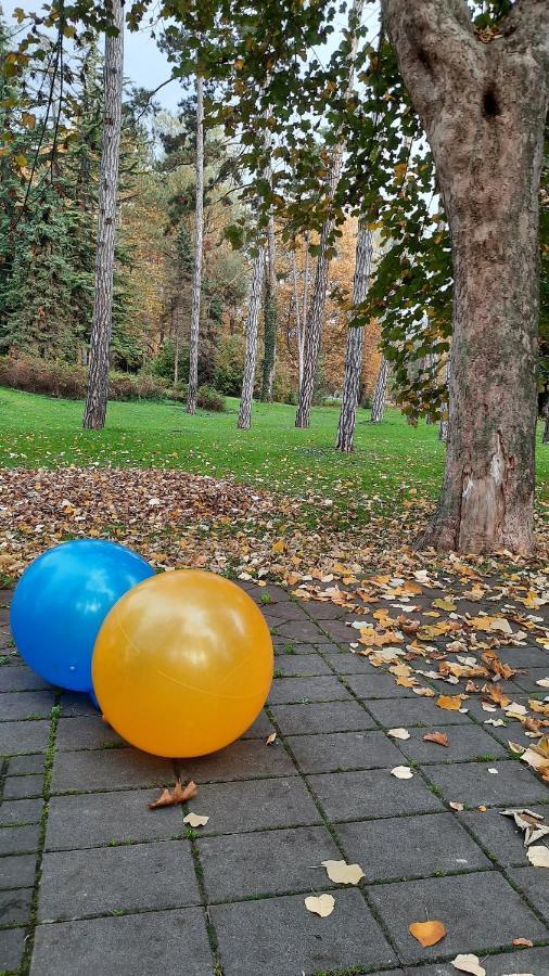 Apartman Mila, Banja Koviljača Exteriér fotografie