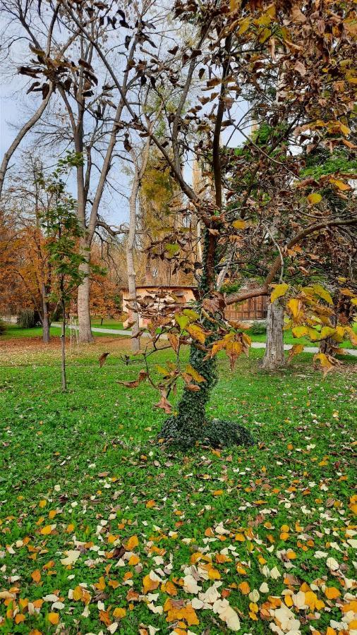 Apartman Mila, Banja Koviljača Exteriér fotografie